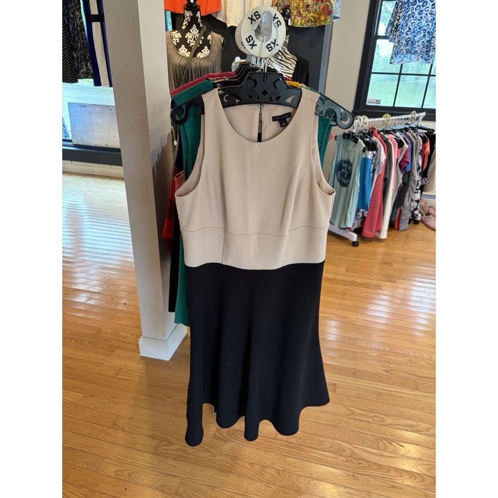 Ann Taylor Dress Black Tan Size 2